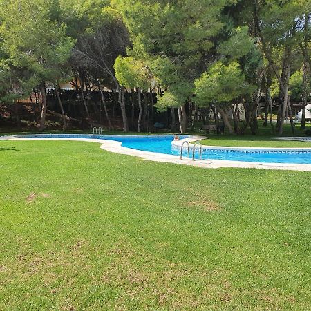Apartment In Campoamor Overlooking The Swimming Pool Dış mekan fotoğraf